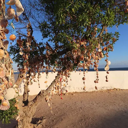 公寓 Casa Barbara *